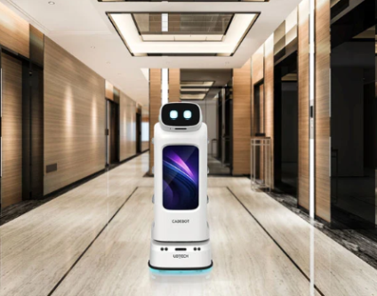 Exploring the Many Roles of Robots in Hospitality